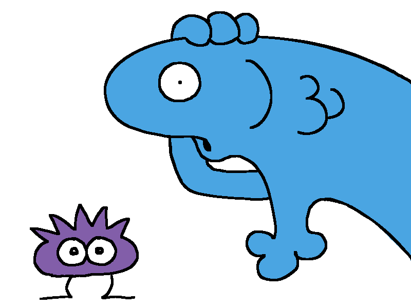 fish and urchin